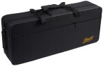 Bacio Instruments BAS-100SG