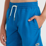 Juniorské plavecké šortky O'Neill Vert 14" 92800614215 164