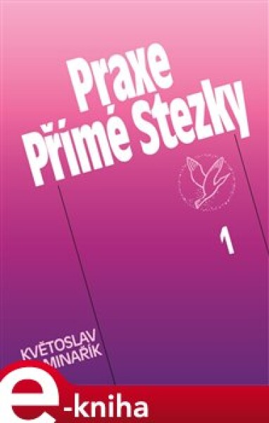 Praxe Přímé Stezky 1 - Květoslav Minařík e-kniha