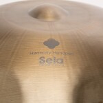 Sela Harmony Handpan D Amara (Stainless Steel)