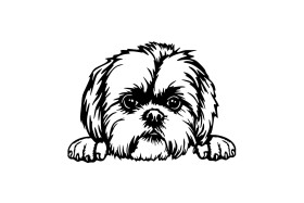 Shih-tzu 2 dřevěná dekorace na zeď Rozměr (cm): 38 x 28