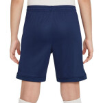 Šortky Nike Dri Fit Academy 25 Jr FZ9784 410 s