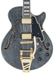 D'Angelico Excel SS Black Dog