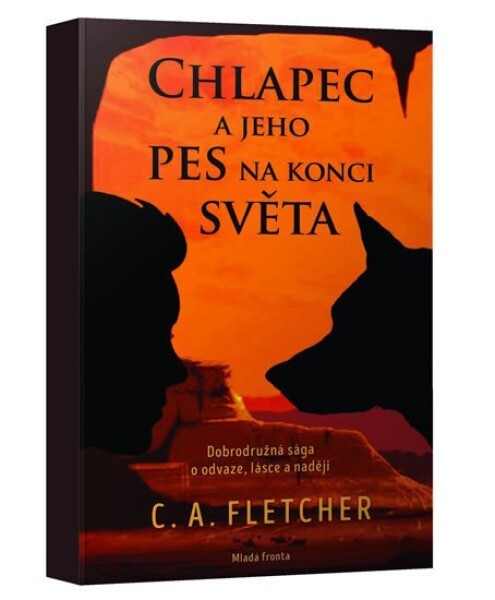 Chlapec jeho pes na konci světa