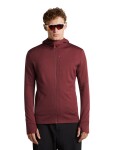 Pánská merino mikina ICEBREAKER Mens Merino 260 Quantum IV LS Zip Hood, Port/Agate velikost: M