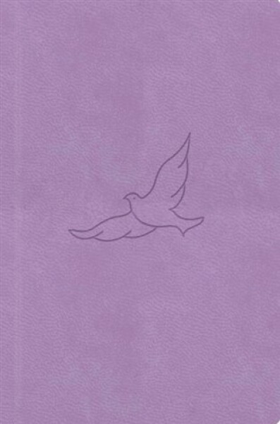 Bible21 – kapesní