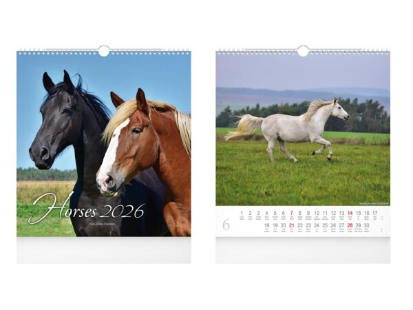 Nástěnný kalendář 2026 MFP - Horses, 32 x 34 cm