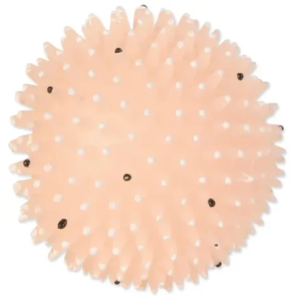 TRIXIE Míč Ježek svítící vinyl / Hračka pro psa / O 10 cm (G14-34091)