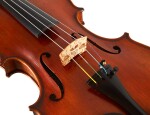 Eastman Albert Nebel Series+ Violin 4/4 (VL601G+)