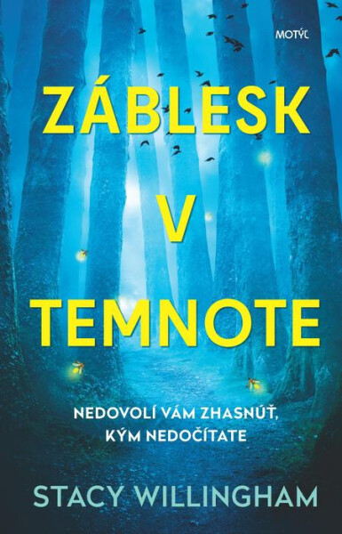 Záblesk v temnote - Stacy Willingham
