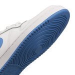 Boty Nike Ebernon Low M AQ1775-102 44.5