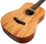 Taylor BT2