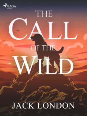 The Call of the Wild (YA) - Jack London - e-kniha