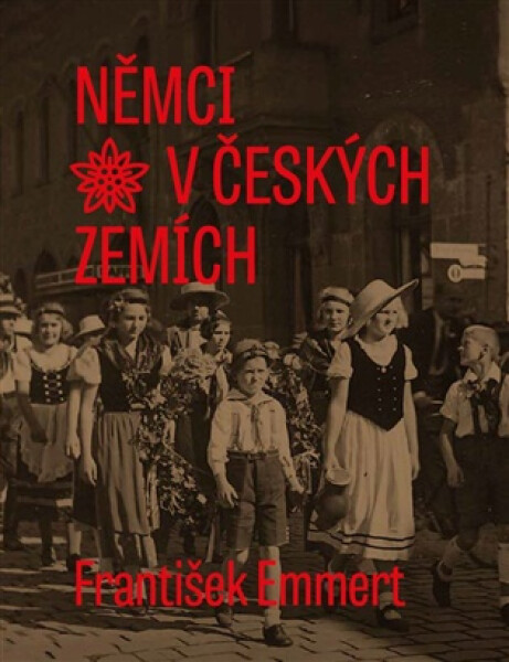 Němci v českých zemích