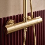 REA - Sprchový set Avanti Brush Gold REA-P8920