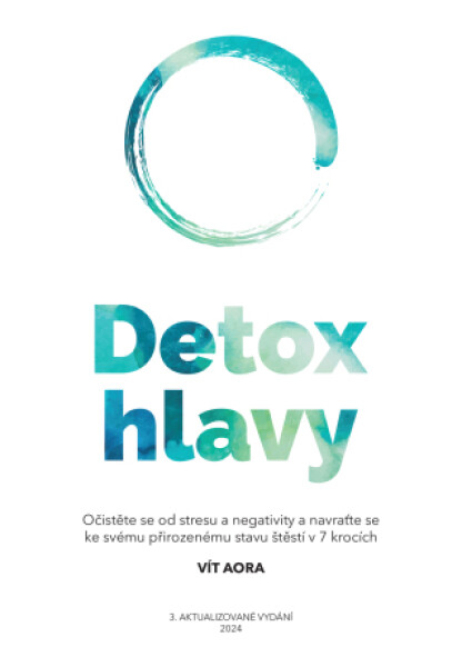 Detox hlavy - Vít Aora - e-kniha