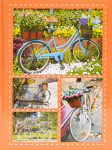 Fotoalbum zasunovací B-46200S Bike 2, 10x15/200F, popisové pole