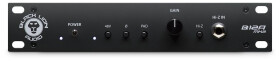 Black Lion Audio B173 mkII