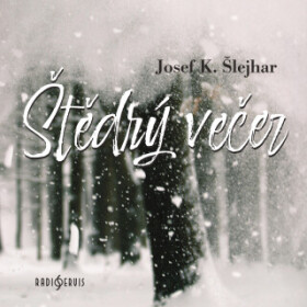 Štědrý večer - Josef Karel Šlejhar - audiokniha