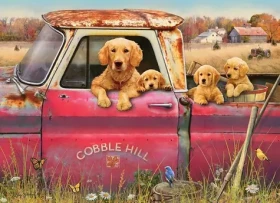 COBBLE HILL Puzzle Farma