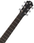 Furch Pioneer MM CNR Active