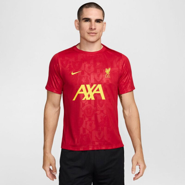 Tričko Nike Liverpool FC Academy Pro SStop FN9653-688