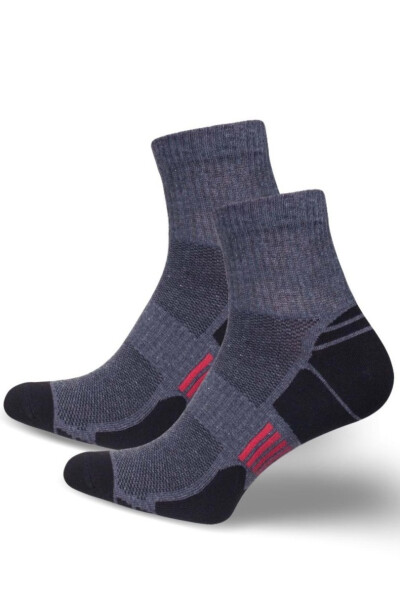 Pánské ponožky ACTIVE 0224.022 BARVA 1 44-46