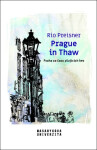 Prague in Thaw - Rio Preisner