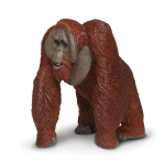 Safari Ltd. Safari Ltd. Orangutan bornejský