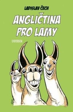 Angličtina pro lamy - Ladislav Čech - e-kniha