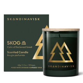 SKANDINAVISK Vonná svíčka ve skle SKOG Gold (les) 65 g – speciální edice, zelená barva, sklo