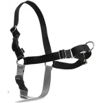 PetSafe Postroj EasyWalk
