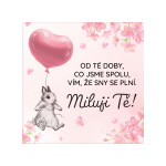 Magnetka - Miluji Tě - Albi