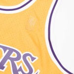 Mitchell & Ness Pánský dres Los Angeles Lakers NBA Nick Van Exel #9 1996-97 Swingman Velikost: M