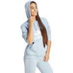 Mikina adidas Essentials Big Logo Regular Fleece Hoodie W IR9329 L