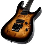 ESP LTD H-1001 FR BP BLKNB