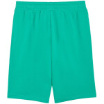 Pánské šortky Puma ESS No.1 Logo 10" (s) zelené 682595 40 s