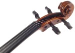 Vienna Violin Violine Pinus Vintage 4/4