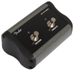 Fender Tone Master Princeton Reverb (rozbalené)