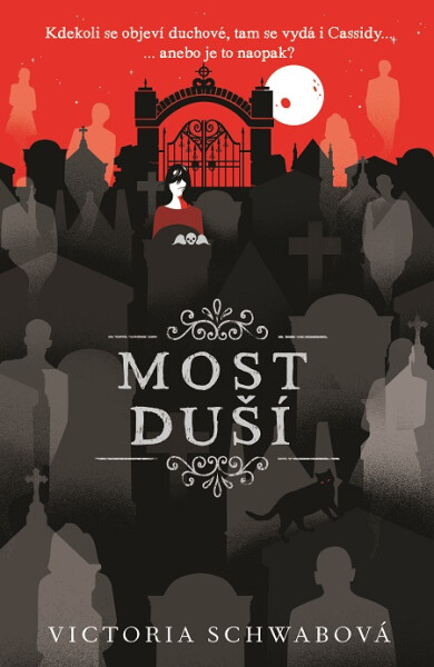 Most duší - V. E. Schwab