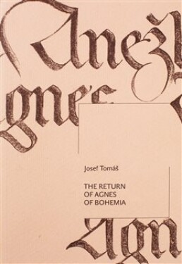 The Return of Agnes of Bohemia - Josef Tomáš