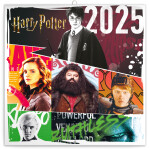Poznámkový kalendář Harry Potter 2025, 30 30 cm