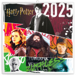 Kalendář 2025 poznámkový: Harry Potter, 30 30 cm