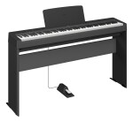 Yamaha P-145B