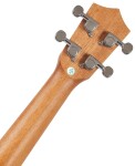 Bamboo U-21 Crown