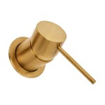 Umyvadlová baterie SAT Aurum včetně podomítkového tělesa broušená zlatá SATBAUR101BG SATBAUR101BG