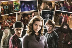 Trefl - Puzzle - Harry potter s přáteli