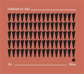 Vzkřísit to vše! Z deníku Dnění, 1977-2008 - Vít Slíva