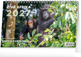 NOTIQUE Kalendář 2027 stolní: Živá Afrika, 23,1 x 14,5 cm
