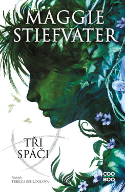 Tři spáči - Maggie Stiefvaterová